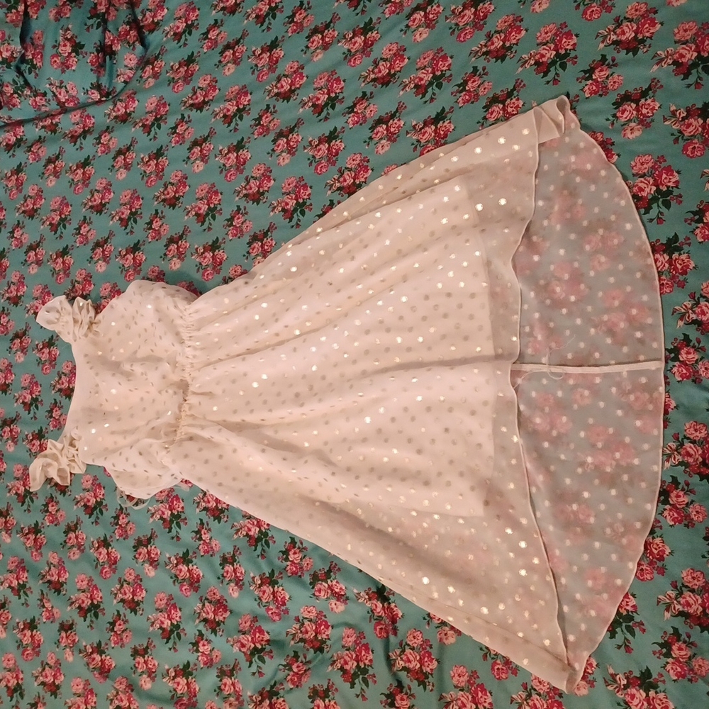 Girl's Sheer Dress Size 14